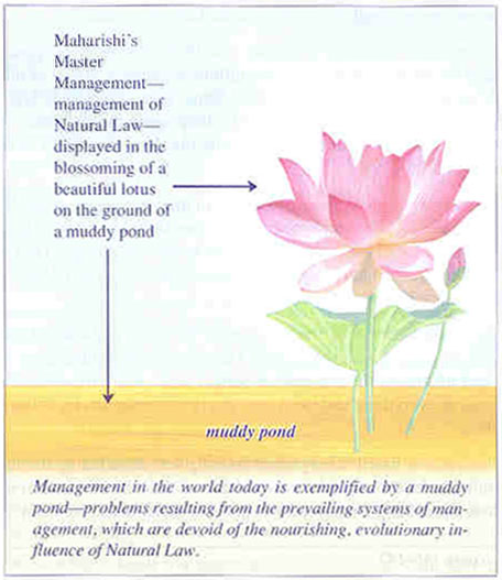 Maharishi's Master Management